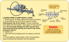 D Lashing Wire Clamp Instructions